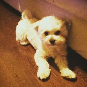 Meet your Posher, Joanne